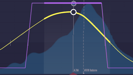 OptionColors Risk Profile